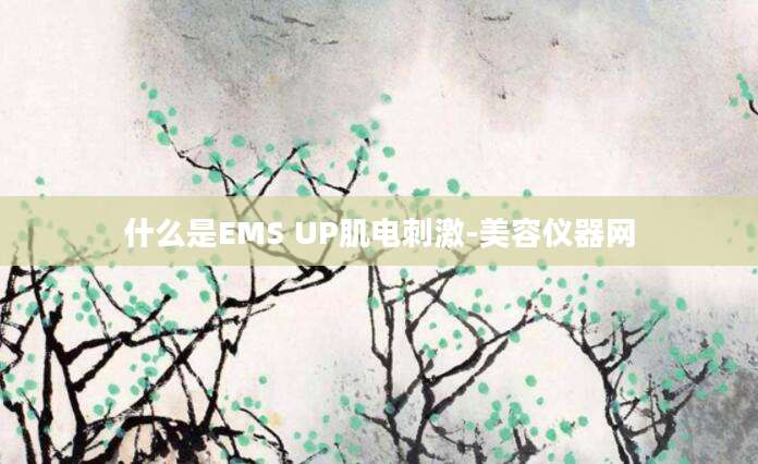 什么是EMS UP肌电刺激-美容仪器网