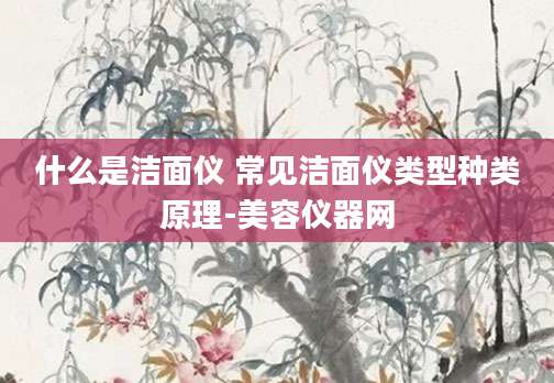 什么是洁面仪 常见洁面仪类型种类原理-美容仪器网