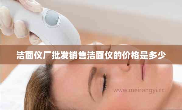 洁面仪厂批发销售洁面仪的价格是多少