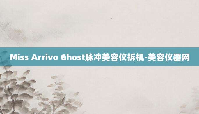 Miss Arrivo Ghost脉冲美容仪拆机-美容仪器网