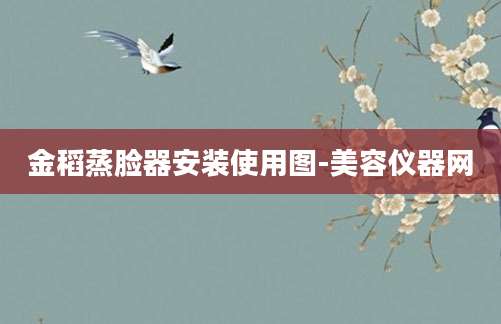 金稻蒸脸器安装使用图-美容仪器网