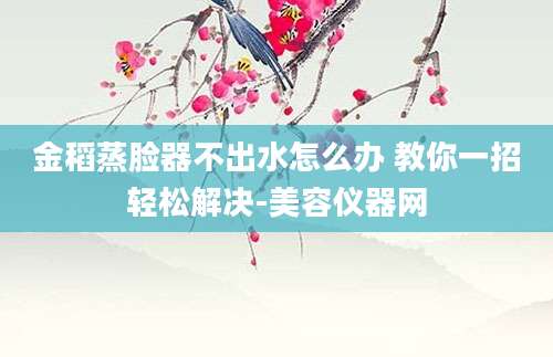 金稻蒸脸器不出水怎么办 教你一招轻松解决-美容仪器网