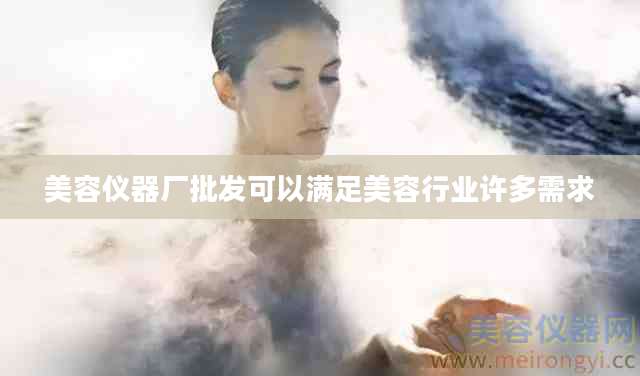 美容仪器厂批发可以满足美容行业许多需求