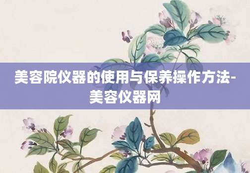 美容院仪器的使用与保养操作方法-美容仪器网