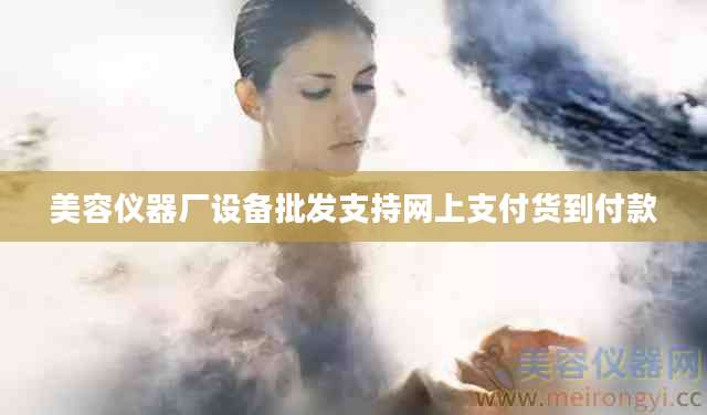 美容仪器厂设备批发支持网上支付货到付款