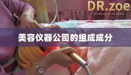 美容仪器公司的组成成分