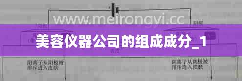 美容仪器公司的组成成分_1