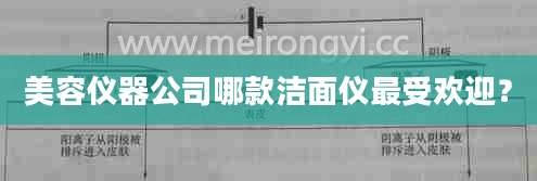 美容仪器公司哪款洁面仪最受欢迎？