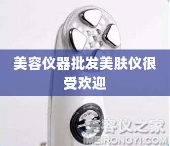 美容仪器批发美肤仪很受欢迎