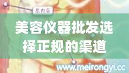 美容仪器批发选择正规的渠道