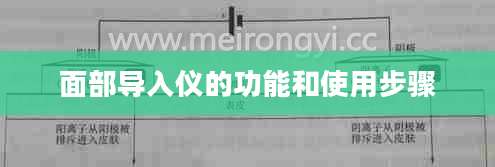 面部导入仪的功能和使用步骤