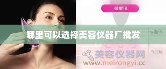 哪里可以选择美容仪器厂批发