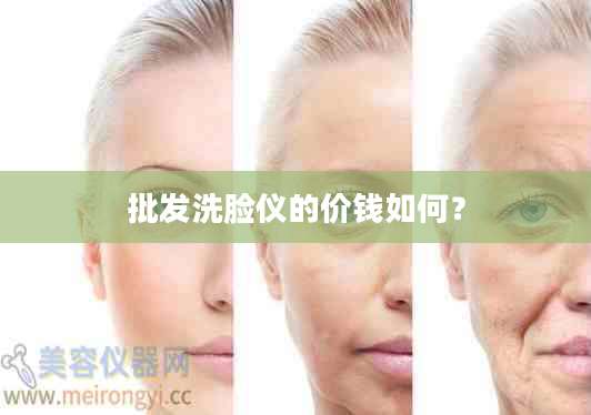 批发洗脸仪的价钱如何？