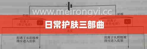 日常护肤三部曲