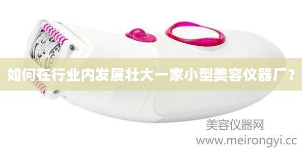 如何在行业内发展壮大一家小型美容仪器厂？