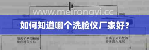 如何知道哪个洗脸仪厂家好？