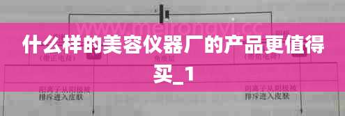 什么样的美容仪器厂的产品更值得买_1