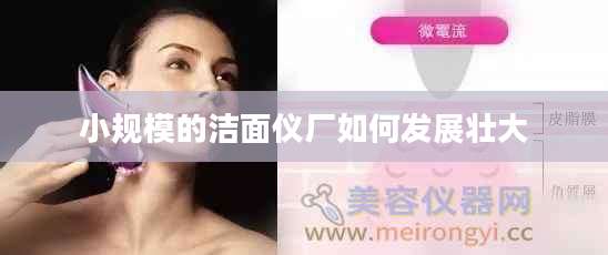 小规模的洁面仪厂如何发展壮大