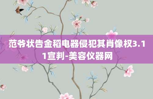 范爷状告金稻电器侵犯其肖像权3.11宣判-美容仪器网