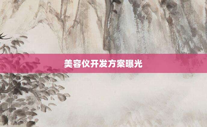 美容仪开发方案曝光