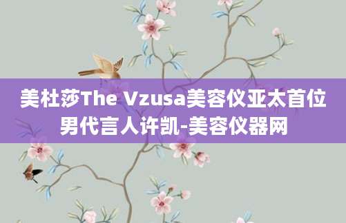 美杜莎The Vzusa美容仪亚太首位男代言人许凯-美容仪器网