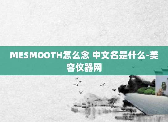 MESMOOTH怎么念 中文名是什么-美容仪器网