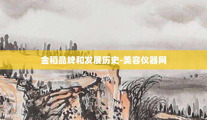 金稻品牌和发展历史-美容仪器网