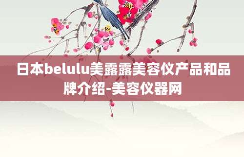 日本belulu美露露美容仪产品和品牌介绍-美容仪器网