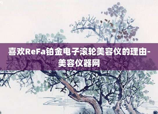 喜欢ReFa铂金电子滚轮美容仪的理由-美容仪器网