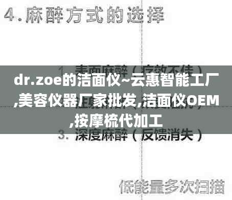 dr.zoe的洁面仪~云惠智能工厂,美容仪器厂家批发,洁面仪OEM,按摩梳代加工