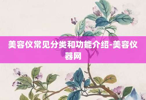 美容仪常见分类和功能介绍-美容仪器网