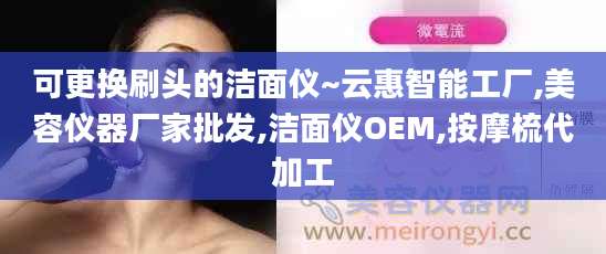 可更换刷头的洁面仪~云惠智能工厂,美容仪器厂家批发,洁面仪OEM,按摩梳代加工