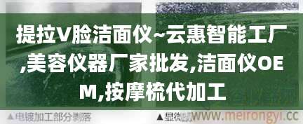 提拉V脸洁面仪~云惠智能工厂,美容仪器厂家批发,洁面仪OEM,按摩梳代加工
