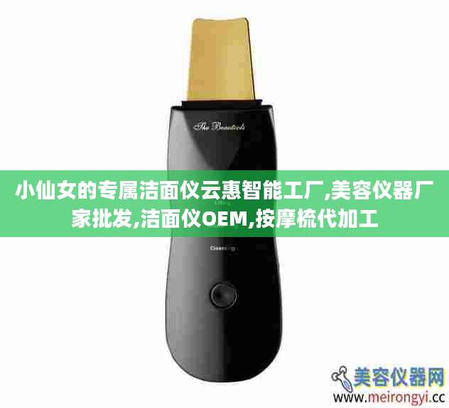 小仙女的专属洁面仪云惠智能工厂,美容仪器厂家批发,洁面仪OEM,按摩梳代加工