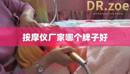 按摩仪厂家哪个牌子好