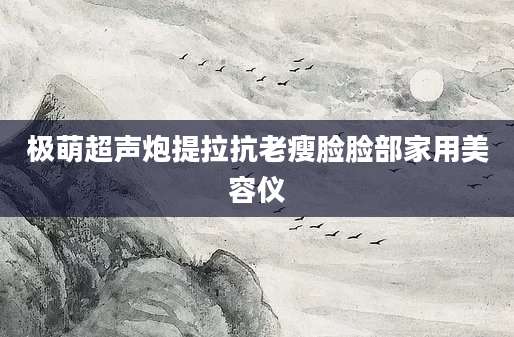 极萌超声炮提拉抗老瘦脸脸部家用美容仪