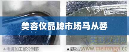 美容仪品牌市场马从蓉